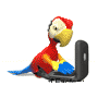 computer_Parrot